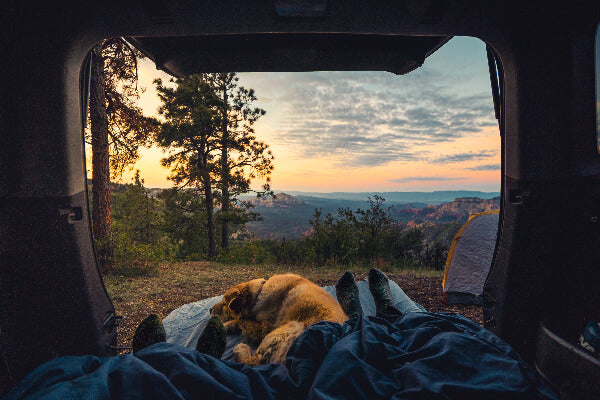 Discover the Innovation of Camplux Gas Tankless Water Heater for Camping