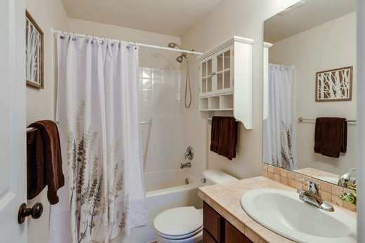 Choosing the Right Gas Water Heater: A Comprehensive Guide  in 2025